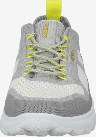 GEOX Sneaker in Grau