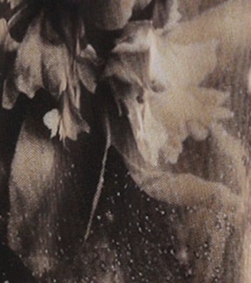 Aniston Dress in Black