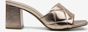 Celena Mules 'Cacie' in Gold