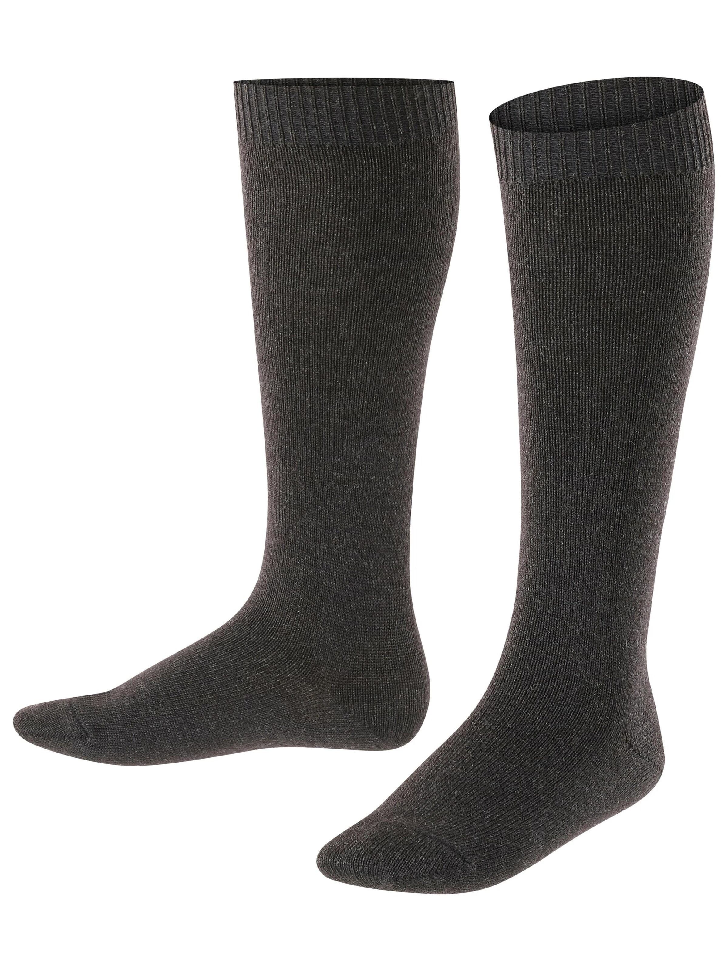 FALKE Socks 'Comfort Wool' in Grey: front