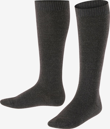 FALKE Socks 'Comfort Wool' in Grey: front