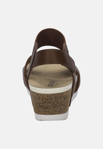 JOSEF SEIBEL Sandaal 'Quinn 09' in Bruin