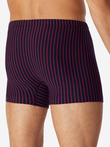SCHIESSER Boxer shorts '95/5 Essentials Organic Cotton' in Red
