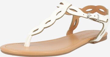 Tongs 'Bertie' Dorothy Perkins en blanc : devant