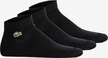 LACOSTE Socken in Schwarz: Vorderseite