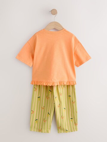 Set di Next in verde