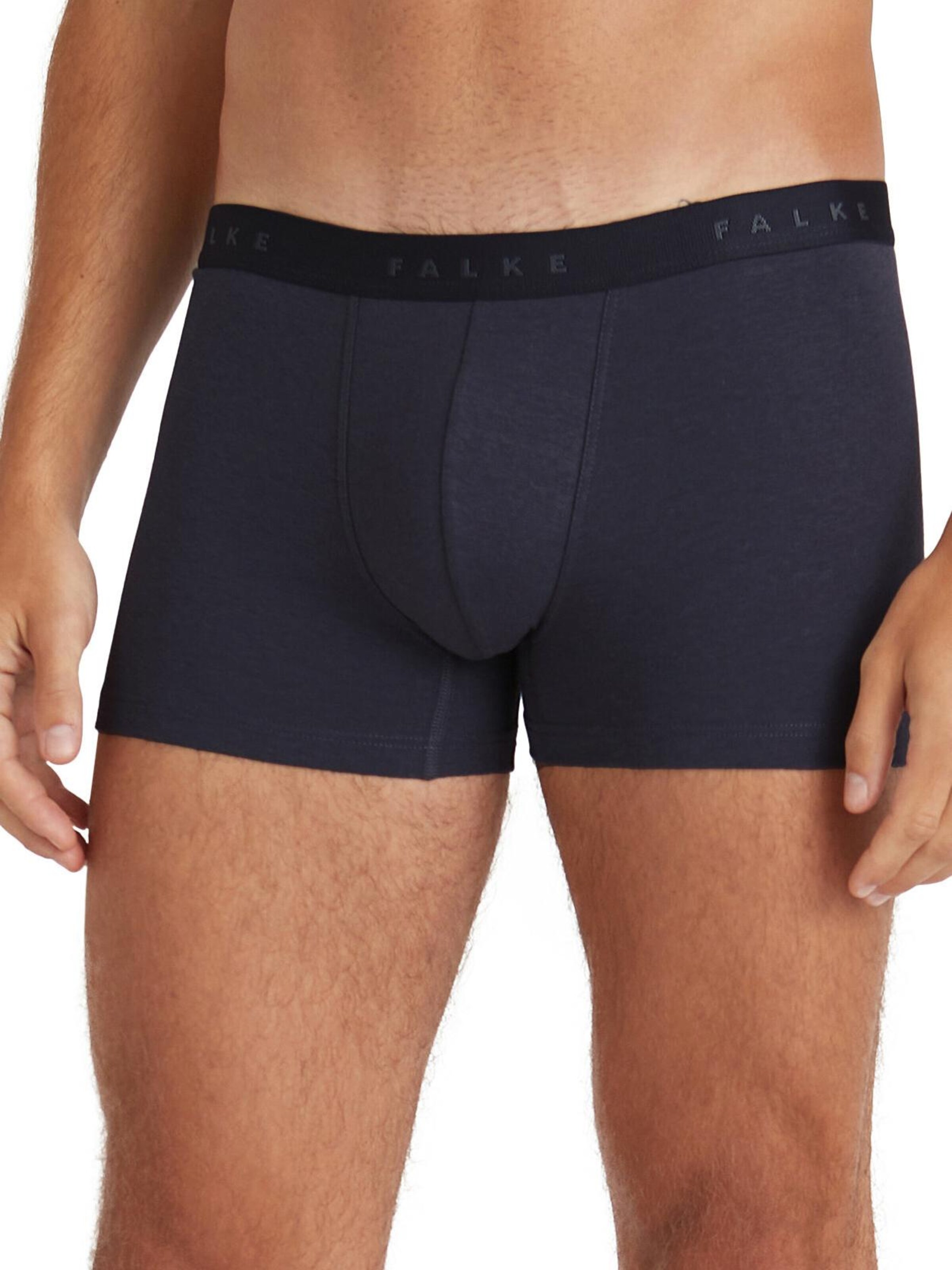 FALKE Boxer shorts in Grey: front