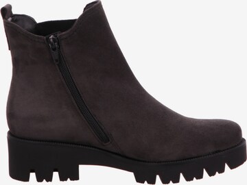 GABOR Chelsea Boots 'Davos' in Grau