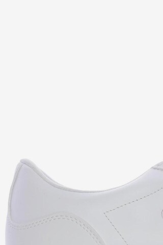 LACOSTE Sneakers & Trainers in 46 in White