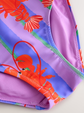 Next Swimsuit in Purple