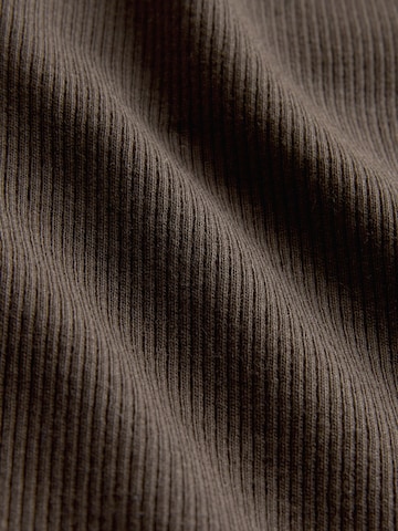 The Set Body in Beige