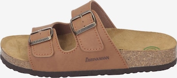 DR. BRINKMANN Pantolette 'Bonillo' in Braun: Vorderseite