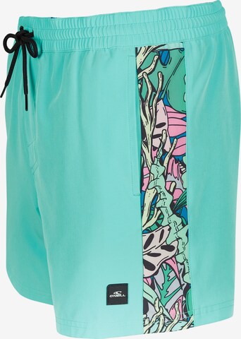 O'NEILL - Bermudas 'Coast Ocean' en azul