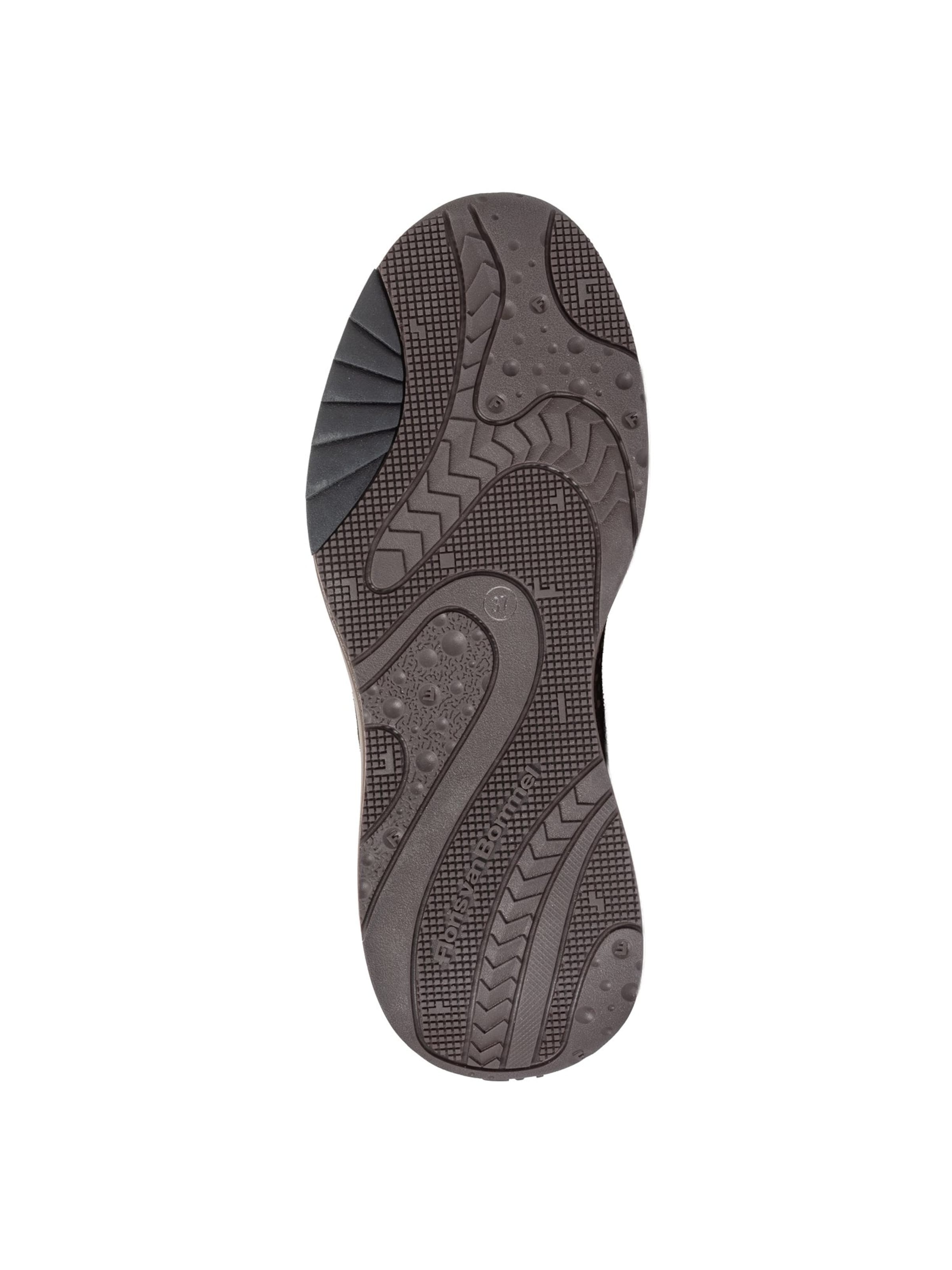 Floris van Bommel Sneakers laag 'SUVI' in Bruin
