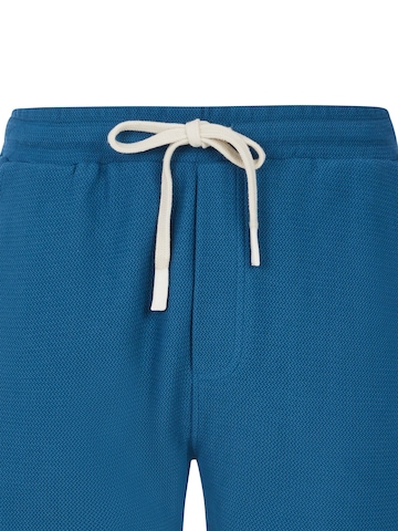 PROTEST Regular Pants 'PRTGraig' in Blue