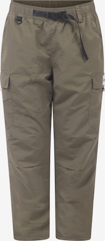 Regular Pantalon outdoor Eivy en vert : devant