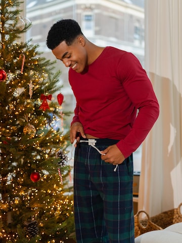 Happy Shorts Pajama pants in Green