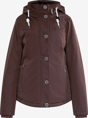 Veste fonctionnelle ICEBOUND en marron : devant