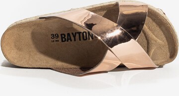 Mule 'ASTOR' Bayton en rose