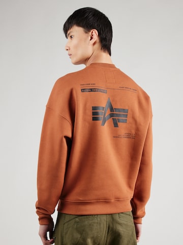 ALPHA INDUSTRIES Суичър в кафяво: отпред