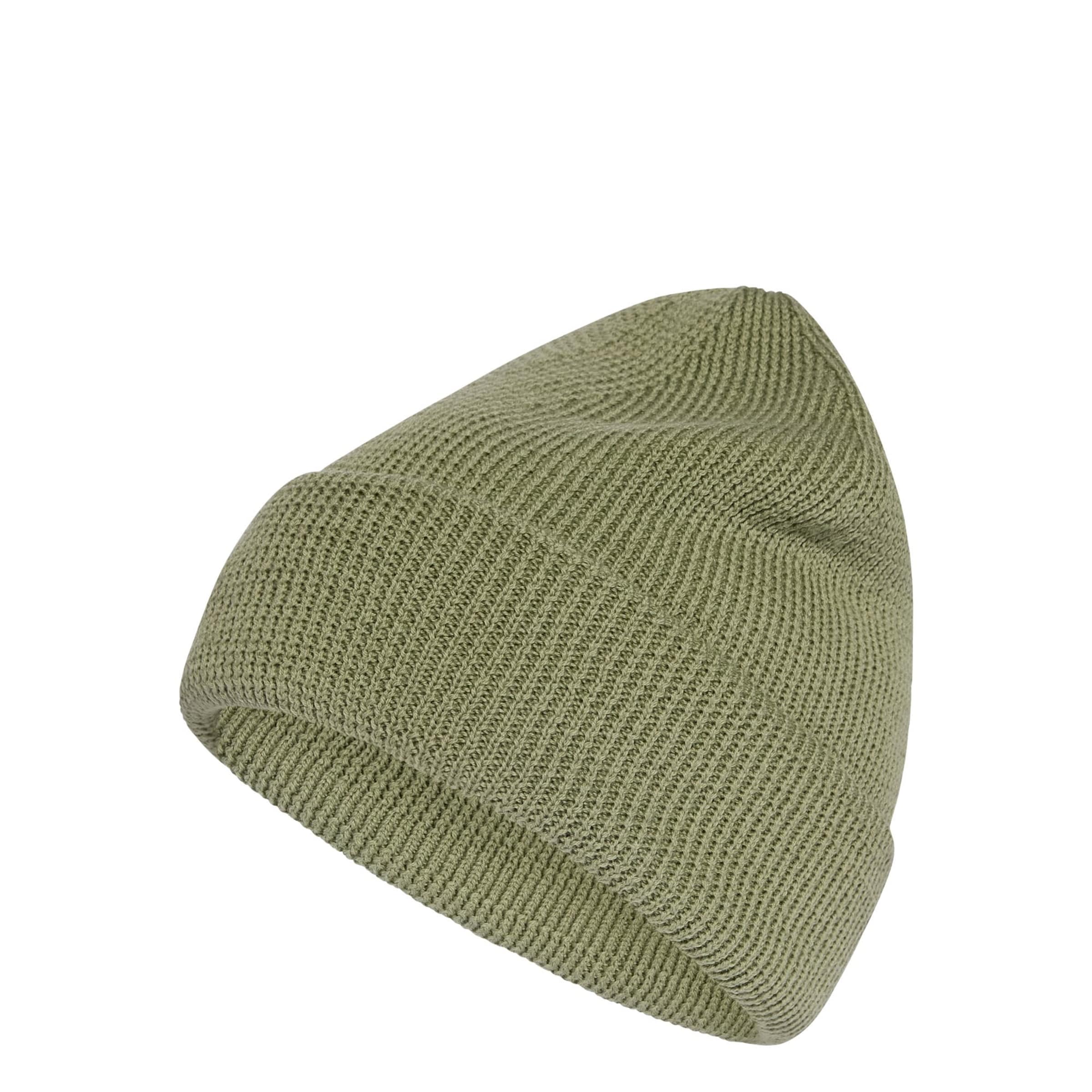 ADIDAS TERREX - Gorro deportivo 'Xploric' en verde: frente