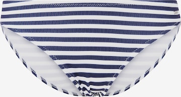 Pepe Jeans Bikini Bottoms in Blue: front