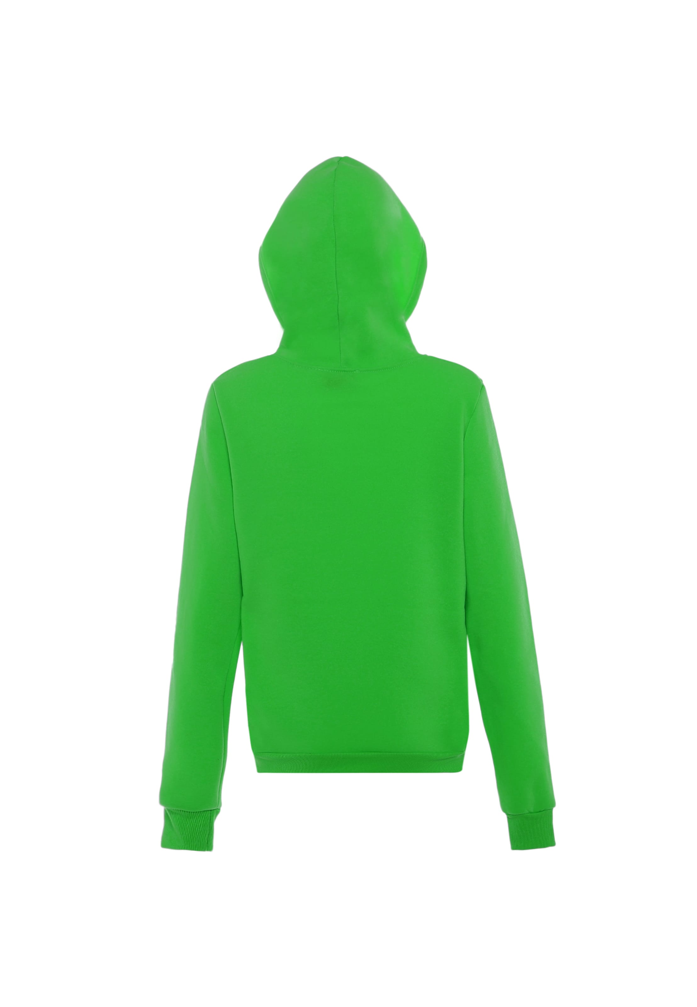 NALLY Sweatshirt in Green