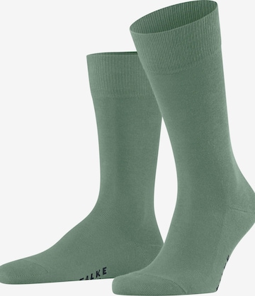 FALKE Socken 'Family' in Grün: Vorderseite