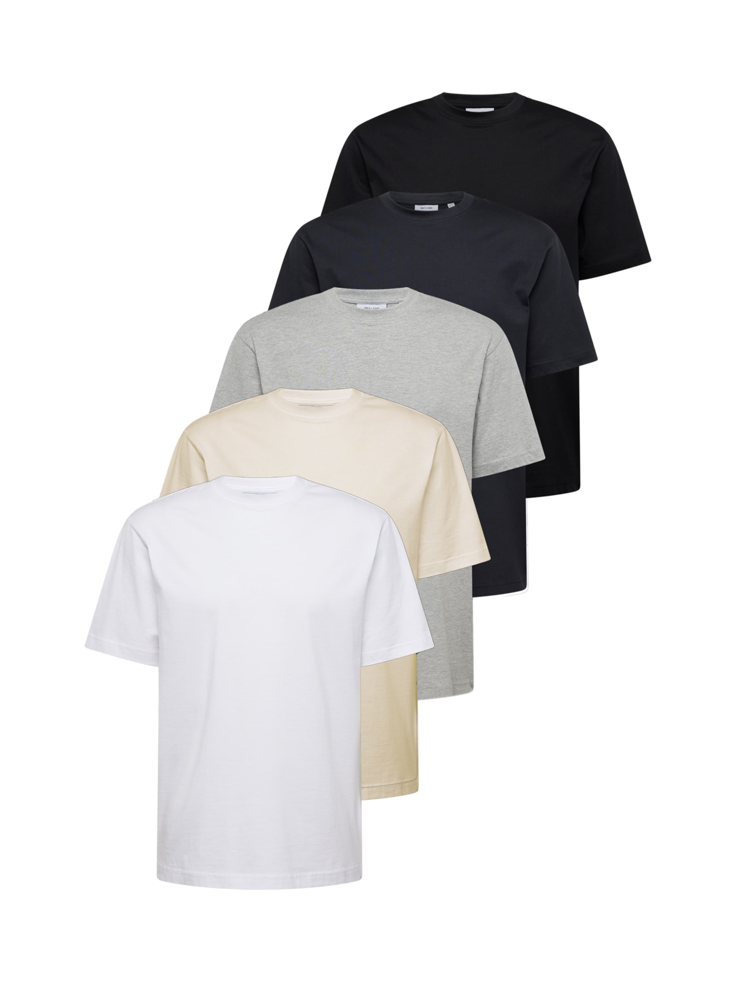 HOLLISTER Shirt in Light Grey Black White ABOUT YOU