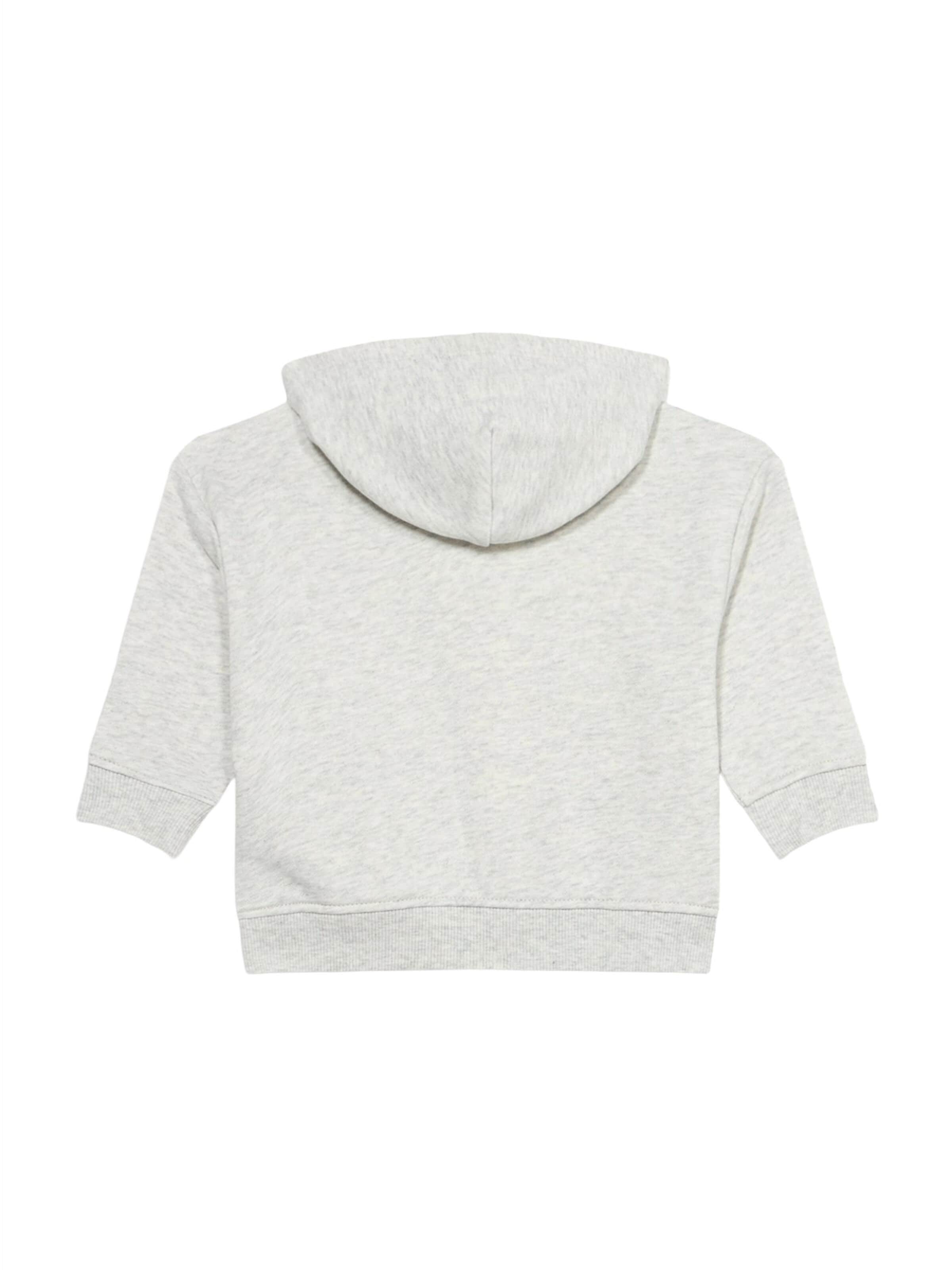 Tommy Hilfiger Kids Sweatshirt‌‌‌‌‌‌‌‌ in Grau