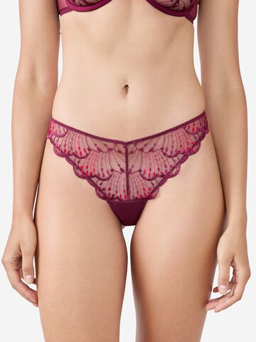 ETAM Thong in Red: front