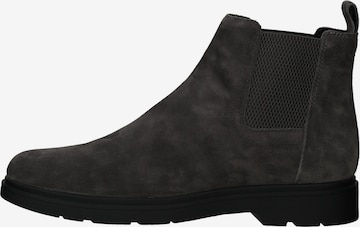 GEOX Chelsea Boots in Grey