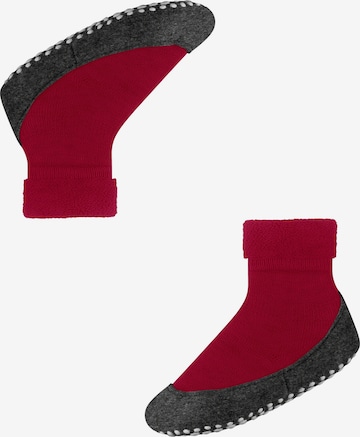 FALKE Socks 'Cosyshoe Teens' in Red: front