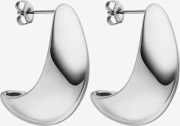 PURELEI Earrings in Grey: front