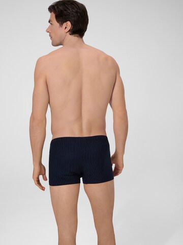 Boxers ' Urban Traveller ' Ammann en bleu