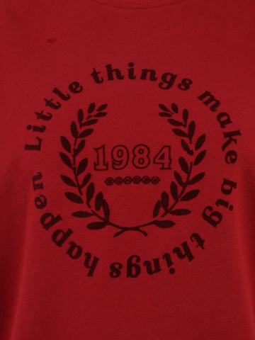 BONOBO Свитшот в Красный