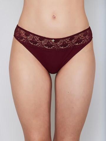 JOOP! - Braga ' Beautiful ' en rojo