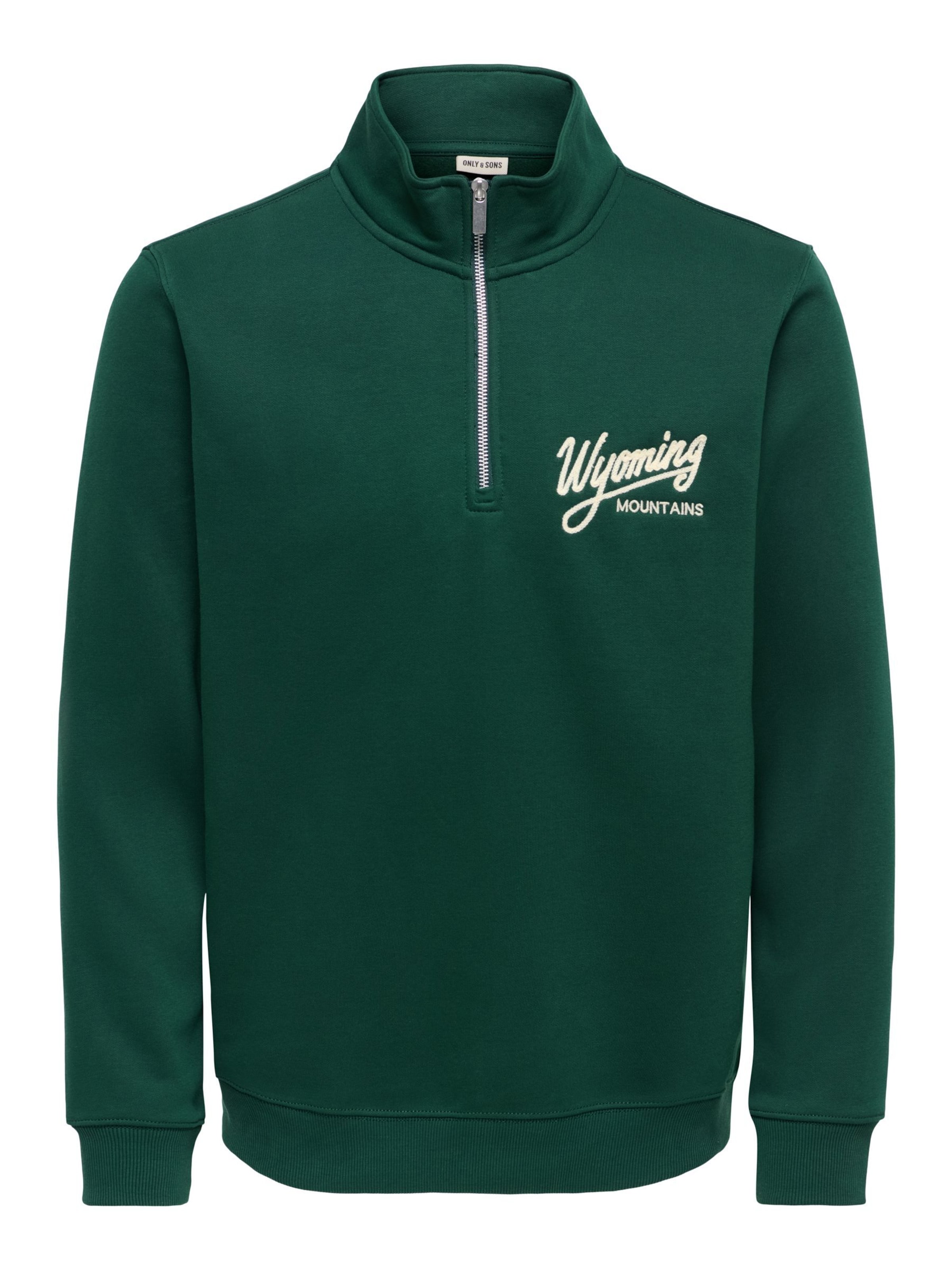 Only & Sons Sweatshirt 'ONSConnor' in Grün: Vorderseite