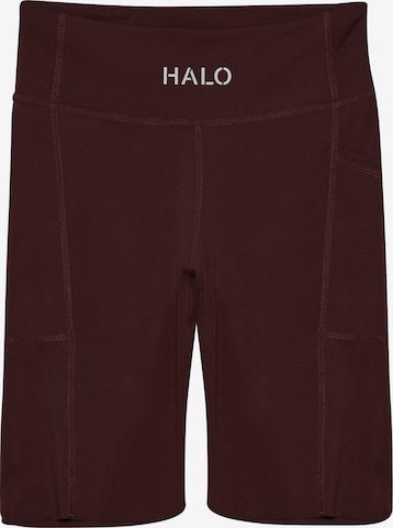 HALO Sportbroek in Bruin: voorkant