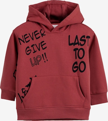 Solang Sweatshirt in Bruin: voorkant