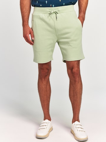 Regular Pantaloni 'Mavis' de la Shiwi pe verde: față