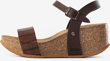 BaytonSandale - smeđa boja: prednji dio