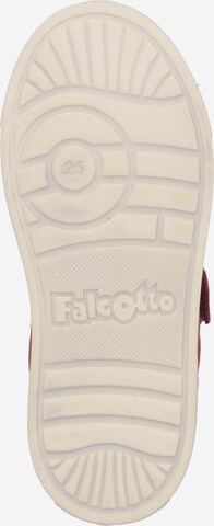 Falcotto Flats 'MICHAEL' in Pink