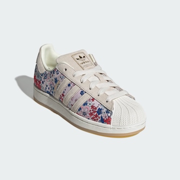 ADIDAS ORIGINALS Trainers 'Superstar' in Mixed colours