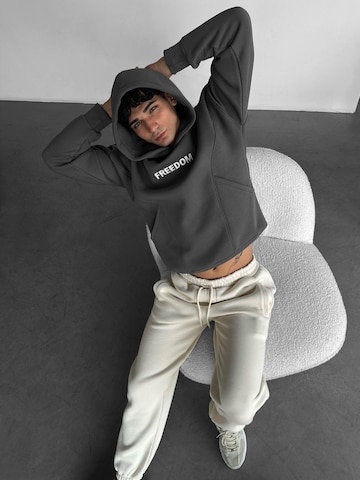 Kleidermafia Sweatshirt in Grey