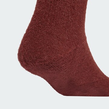 ADIDAS ORIGINALS - Calcetines en marrón