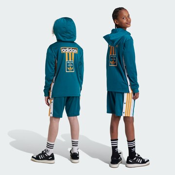 ADIDAS ORIGINALS Regular Broek in Blauw