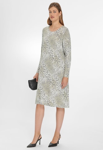 Robe Anna Aura en gris : devant