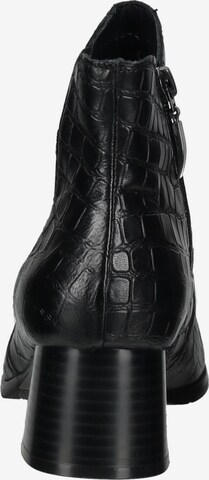 SALAMANDER Stiefelette in Schwarz