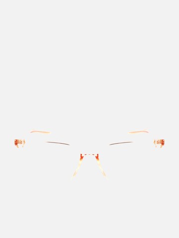 NIKE Sonnenbrille‌‌‌‌‌‌‌ in Orange